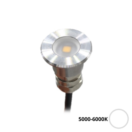 Apache PROLED - Flat Surface Step LED Light - 12VDC - Non polished stainless steel - White 5000-6000K - Ø 16 mm  - IP67