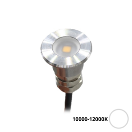 Apache PROLED - Flat Surface Step LED Light - 12VDC - Non polished stainless steel - Cool White 10000-12000K - Ø 16 mm  - IP67